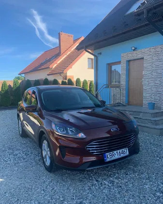 samochody osobowe Ford Escape cena 69000 przebieg: 206000, rok produkcji 2021 z Kamień Krajeński